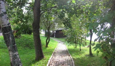12 коллегий. Психологический лагерь