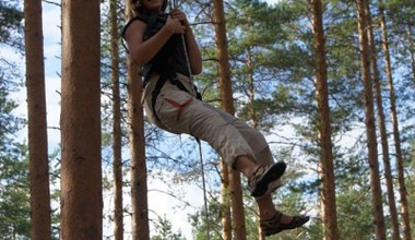 12 коллегий. Тренинговый лагерь